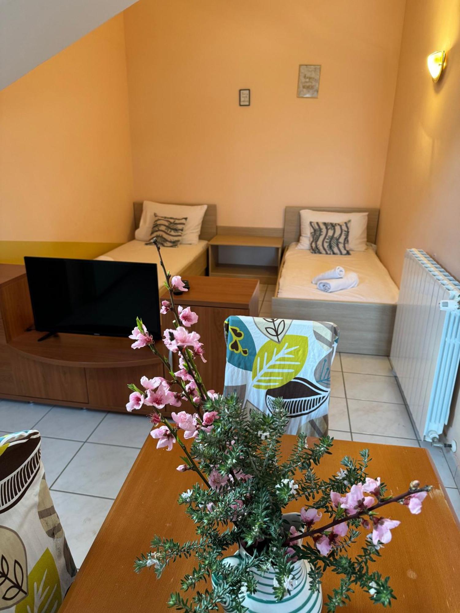 Ariela At The Beach Apartment Stara Novalja Exterior photo